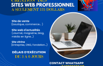 Création des sites web professionnel  mediacongo